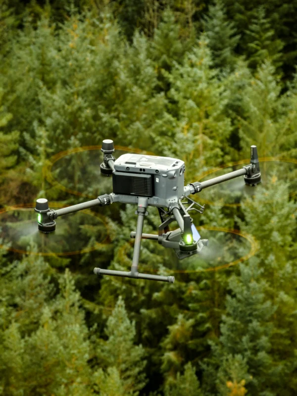 drone in forest
